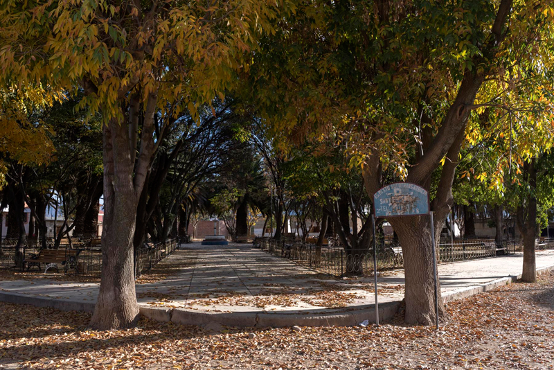 Santa Rosa Community Engagement Project